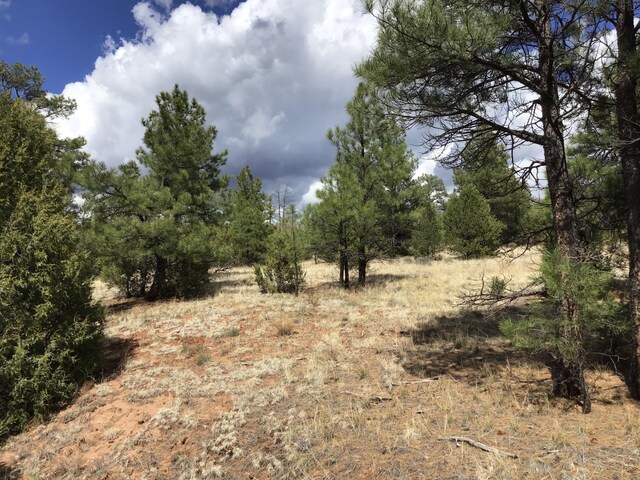LOT28 Monte Vista Ln, Ramah, NM 87321
