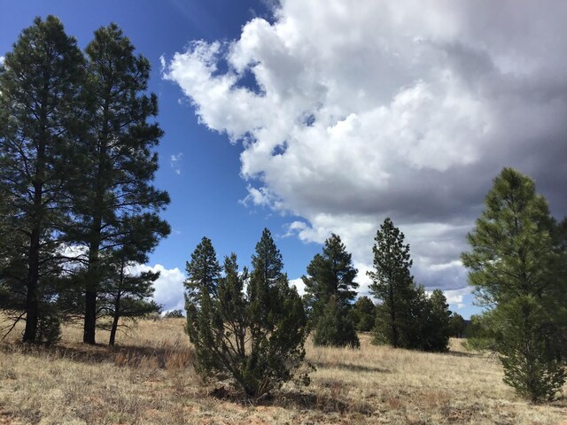 LOT28 Monte Vista Ln, Ramah, NM 87321