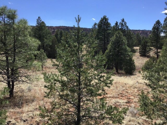 LOT28 Monte Vista Ln, Ramah, NM 87321
