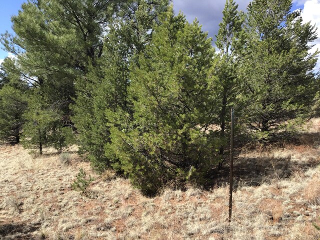 LOT28 Monte Vista Ln, Ramah, NM 87321
