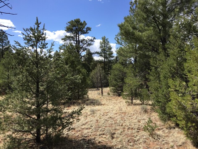 LOT28 Monte Vista Ln, Ramah, NM 87321