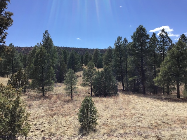LOT28 Monte Vista Ln, Ramah, NM 87321