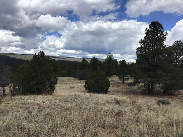 LOT28 Monte Vista Ln, Ramah, NM 87321