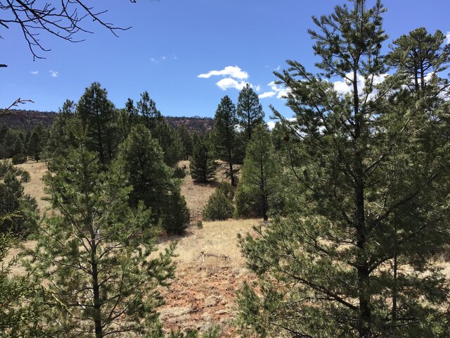LOT28 Monte Vista Ln, Ramah, NM 87321