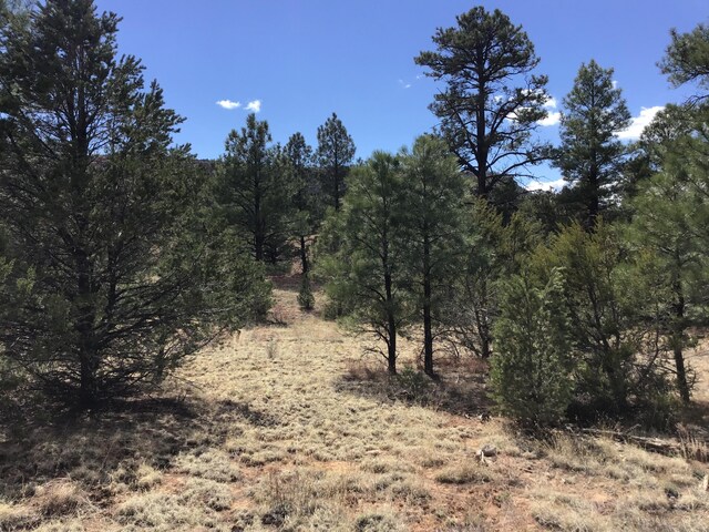 LOT28 Monte Vista Ln, Ramah, NM 87321