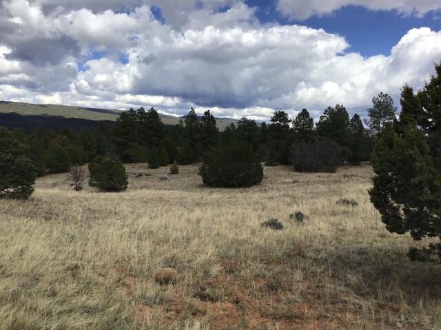 LOT28 Monte Vista Ln, Ramah, NM 87321