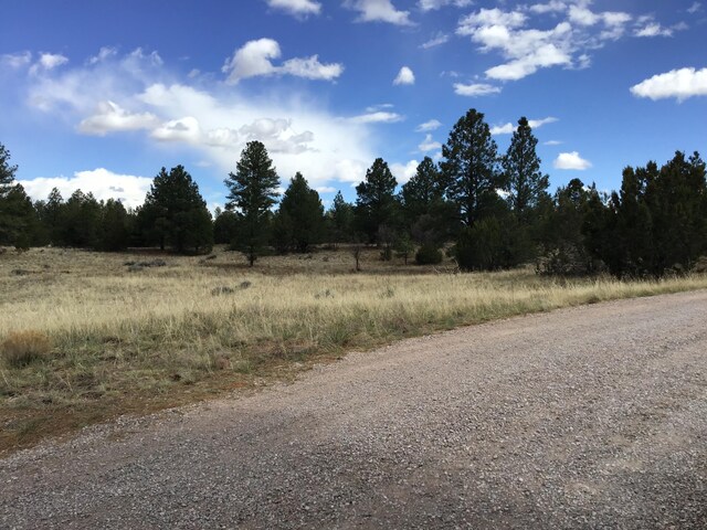 LOT28 Monte Vista Ln, Ramah, NM 87321