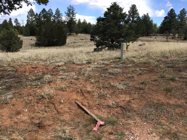 LOT28 Monte Vista Ln, Ramah, NM 87321