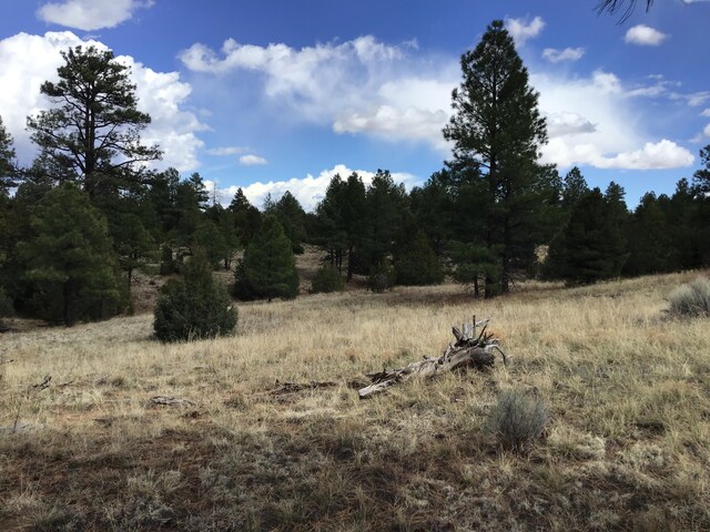 LOT28 Monte Vista Ln, Ramah, NM 87321