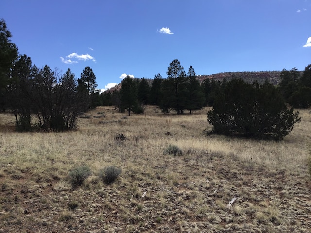 LOT28 Monte Vista Ln, Ramah, NM 87321