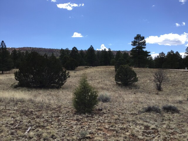 LOT28 Monte Vista Ln, Ramah, NM 87321