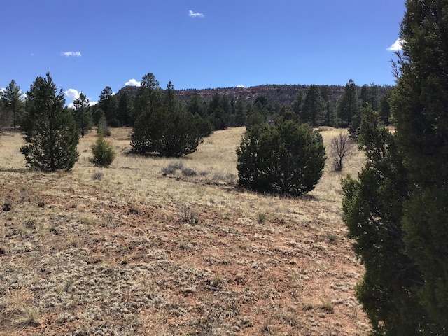 LOT28 Monte Vista Ln, Ramah, NM 87321