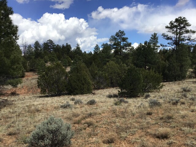 LOT28 Monte Vista Ln, Ramah, NM 87321