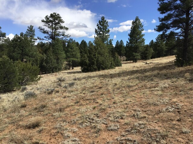 LOT28 Monte Vista Ln, Ramah, NM 87321