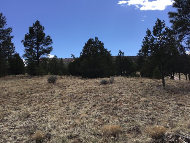 LOT28 Monte Vista Ln, Ramah, NM 87321