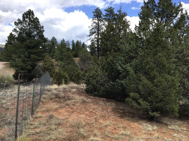 LOT28 Monte Vista Ln, Ramah, NM 87321