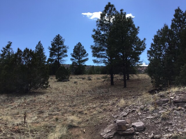 LOT28 Monte Vista Ln, Ramah, NM 87321