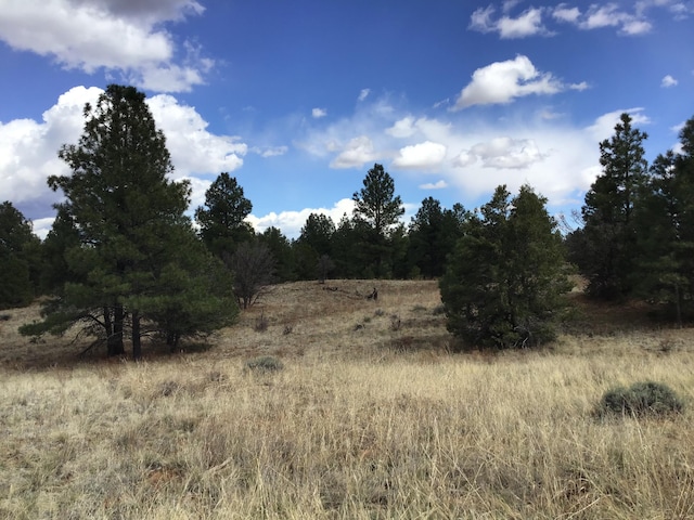 LOT28 Monte Vista Ln, Ramah, NM 87321