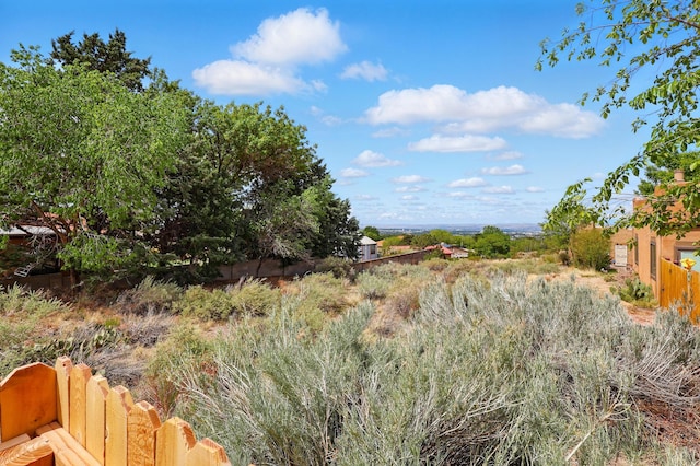 view of undeveloped land
