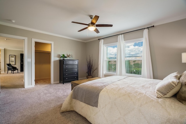 1899 Vargas Rd SE, Rio Rancho, NM 87124 - bedroom featuring ornamental molding, carpet floors, a walk in closet, ceiling fan, and a closet