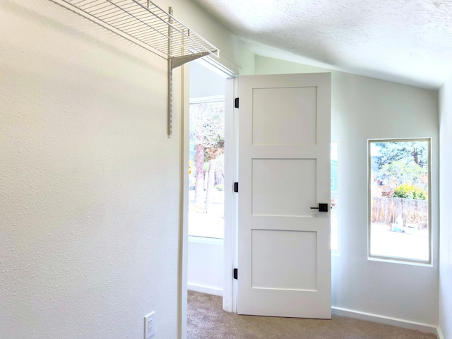 445 Rim Rd, Los Alamos, NM 87544 - hall featuring carpet floors, healthy amount of natural light, a textured wall, baseboards, and vaulted ceiling