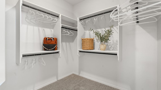 4114 Silver Springs Rd NE, Rio Rancho, NM 87144 - walk in closet with carpet