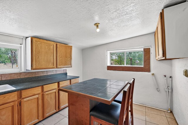 96 San Acacia Rd, San Acacia, NM 87831 - photo 20