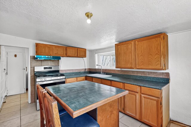 96 San Acacia Rd, San Acacia, NM 87831 - photo 21