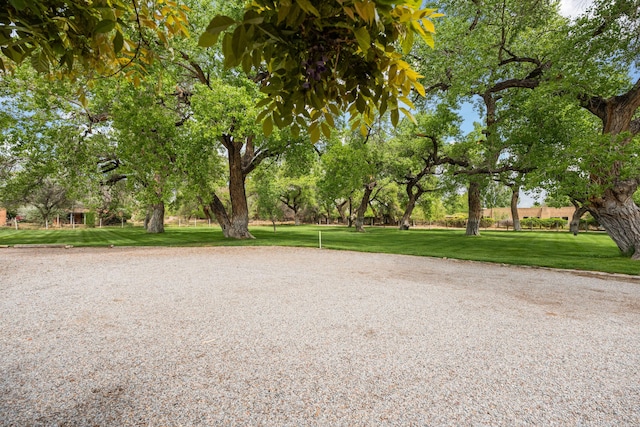 384 Chaparral Ln, Corrales, NM 87048 - view of property's community featuring a lawn