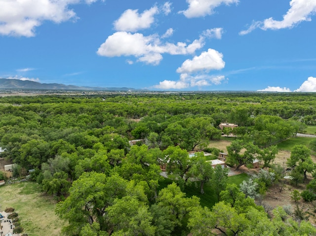 384 Chaparral Ln, Corrales, NM 87048 - drone / aerial view of a heavily wooded area