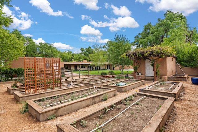 384 Chaparral Ln, Corrales, NM 87048 - view of property's community with a vegetable garden