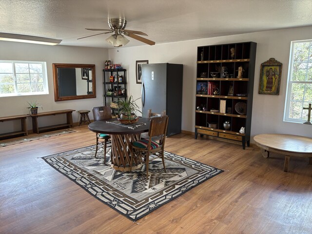 37 Lasso Ln, Pie Town, NM 87827 - dining space featuring light wood-type flooring and a ceiling fan