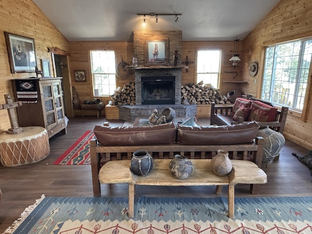 37 Lasso Ln, Pie Town, NM 87827 - living area featuring lofted ceiling, wood walls, wood finished floors, a stone fireplace, and rail lighting