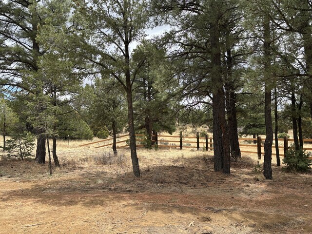 37 Lasso Ln, Pie Town, NM 87827 - view of local wilderness