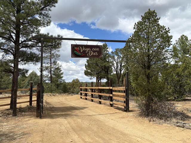 37 Lasso Ln, Pie Town, NM 87827 - view of street