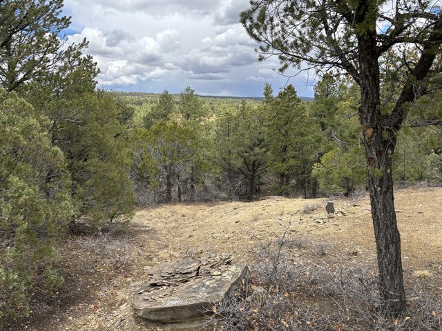37 Lasso Ln, Pie Town, NM 87827 - view of woods