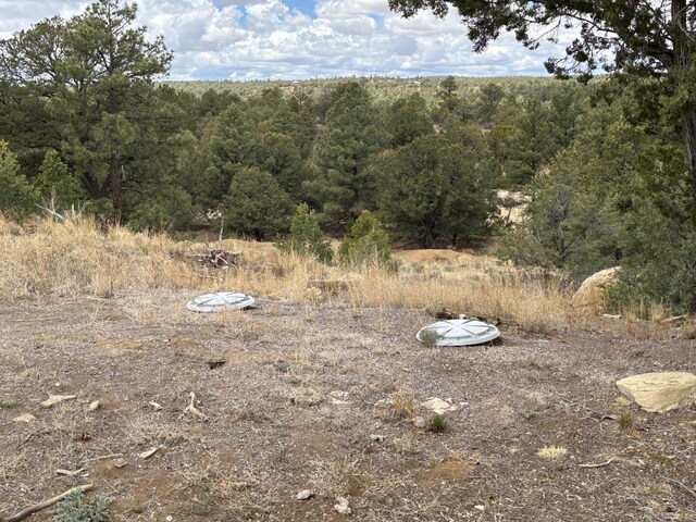 37 Lasso Ln, Pie Town, NM 87827 - view of woods