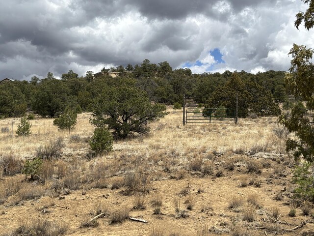 37 Lasso Ln, Pie Town, NM 87827 - view of nature with rural landscape