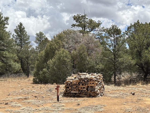 37 Lasso Ln, Pie Town, NM 87827 - view of wooded area