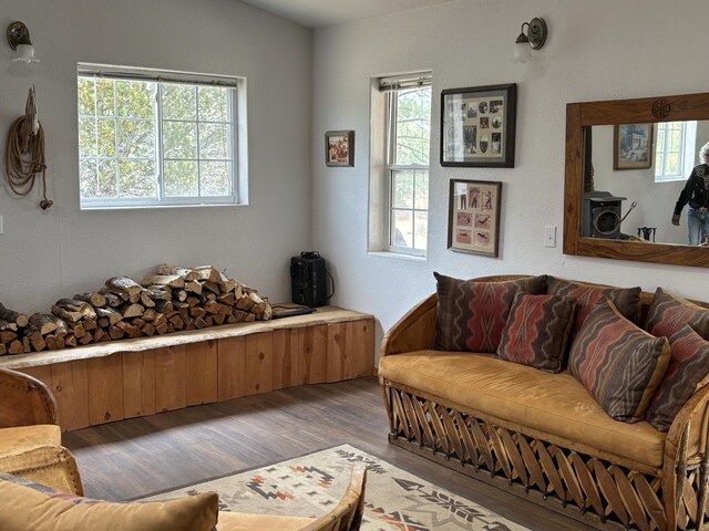 37 Lasso Ln, Pie Town, NM 87827 - living area with wood finished floors