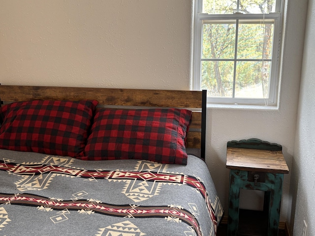 37 Lasso Ln, Pie Town, NM 87827 - bedroom featuring a textured wall