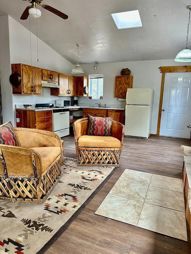 37 Lasso Ln, Pie Town, NM 87827 - living area with dark wood-style flooring, a skylight, a textured ceiling, lofted ceiling, and a ceiling fan