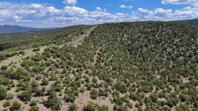 36 Prado Vis, Sandia Park, NM 87047 - photo 8