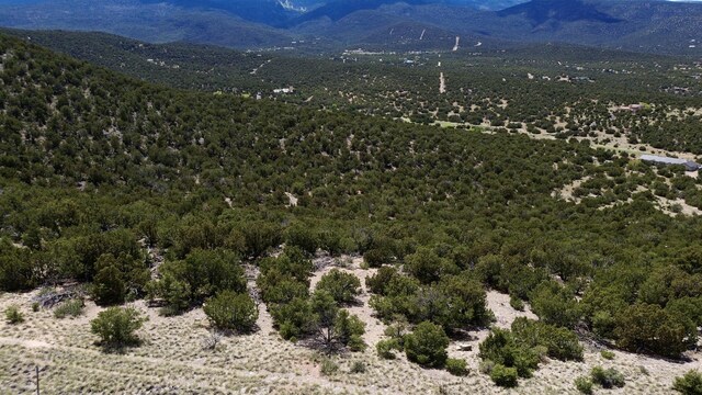 36 Prado Vis, Sandia Park, NM 87047 - photo 4