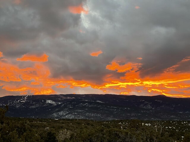 36 Prado Vis, Sandia Park, NM 87047 - photo 3
