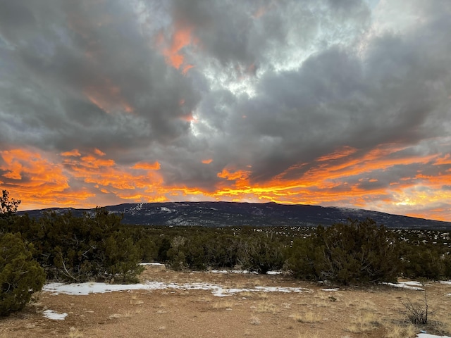36 Prado Vis, Sandia Park, NM 87047 - photo 1