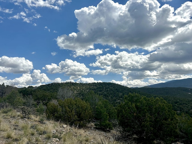 36 Prado Vis, Sandia Park, NM 87047 - photo 17
