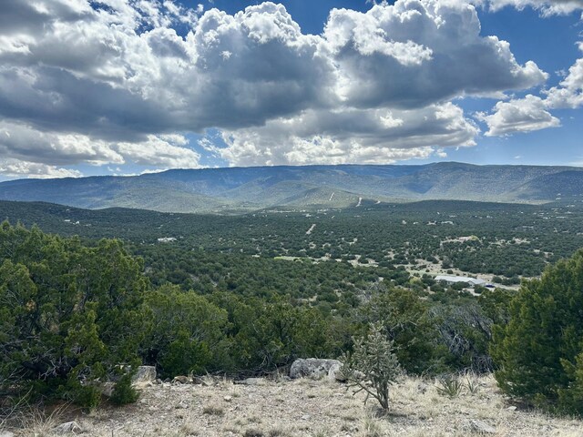 36 Prado Vis, Sandia Park, NM 87047 - photo 14