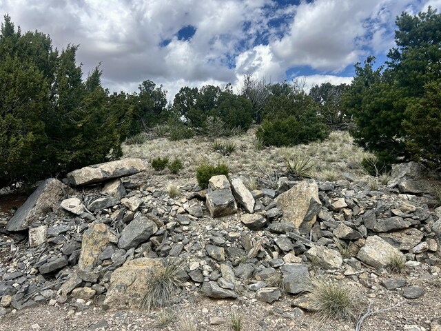 36 Prado Vis, Sandia Park, NM 87047 - photo 11