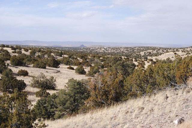 Pinon Spgs, Magdalena, NM 87825 - photo 1